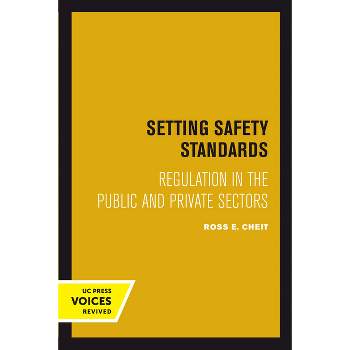 Setting Safety Standards - by  Ross E Cheit (Paperback)
