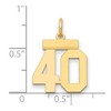 Black Bow Jewelry 14k Yellow Gold, Athletic Collection, Small Polished Number 40 Pendant - 2 of 3