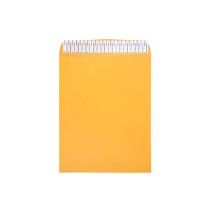 JAM Paper 11.5x14.5 Open End Catalog Envelopes w/Peel and Seal Closure Manila 13034235C - 1 of 3