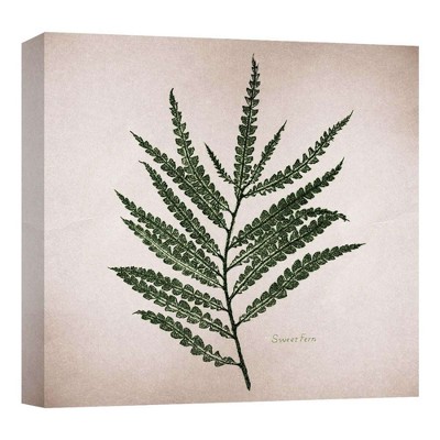 16" x 16" Sweet Fern Decorative Wall Art - PTM Images