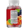 Sugar Free Fiber Gummies for Kids, Delicious & Nutritious Kids Fiber Gummies, Sugar Free Supplement for Digestive & Immune Support, Phytoral, 120ct - 2 of 4
