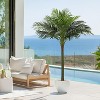 Wikineon Palm Tree Artificial Tropical Plant 6FT Tall Faux Plants Indoor Fake Floor Plants Decorative Palm Tree House Large Office - 4 of 4