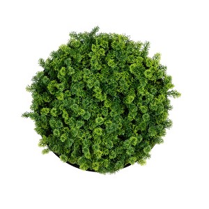 Nearly Natural 20-in UV Resistant Irish Green Meadow Artificial Living Wall Art Panel in Black Aluminum Frame (Indoor/Outdoor) - 1 of 3