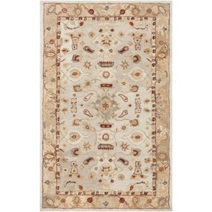 Anatolia AN543 Hand Tufted Indoor Rugs - Safavieh - 1 of 4