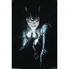 Trends International DC Comics - Catwoman - Portrait Unframed Wall Poster Prints - 4 of 4