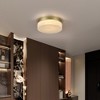 KWPZQEB Ceiling Light, Iron Round Low Profile Ceiling Light, 24W Flush Mount Ceiling Light, 3 Color Temperature Options for Bedroom, Closet Room - 3 of 4