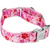 Country Brook Petz 1 1/2 Inch Martingale with Premium Buckle, Affection Collection - 3 of 4