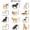 12-Piece Mini Dog Figurines Set, Realistic Hand-Painted Puppy Toys for Cake Decor, Party Favors and Kids' Play - 4 of 4