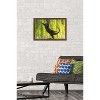 Trends International The Comedy Wildlife Photography Awards: Otter Kwek - Ballerina Framed Wall Poster Prints - 2 of 4