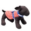 The Worthy Dog Stars Print Adjustable Pet Dress - image 3 of 3