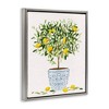 Stupell Industries Lemon Tree Detailed Planter, 25" x 31" - 3 of 4