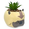Silver Buffalo Avatar: The Last Airbender Appa 6-Inch Ceramic Planter With Artificial Succulent - 2 of 4