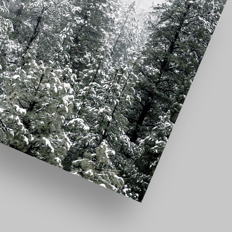 Americanflat Botanical Landscape Snowy Nordic Trees By Tanya Shumkina Poster, 5 of 7