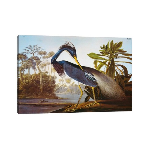 Louisiana Heron From "Birds of America" by John James Audubon Unframed Wall Canvas - iCanvas - image 1 of 4