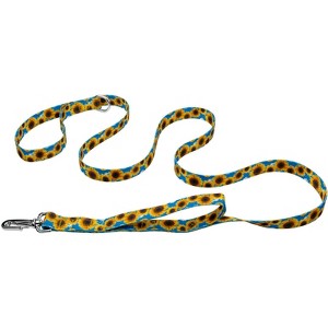 Country Brook Petz Deluxe Reflective Dog Leash 6 foot length - 1 of 3