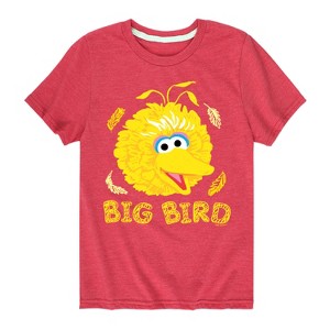 Boys' - Sesame Street - Big Bird Face Short Sleeve Graphic T-Shirt - 1 of 4