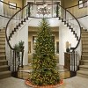 National Tree Company 9' PreLit Dunhill Fir Slim Hinged Tree with 800 Clear Lights 2832 Tips - 2 of 4