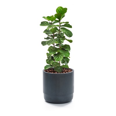 Modern Gray 17'' MgO Outdoor Round Planter with Drainage Hole