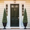 Artificial Trees,Fake Cedar Topiary Tree Outdor,3/4/5ft Tall Fake Cypress Trees for Home Decor,Potted Faux Pine Shrubs Plants Set of 1 or 2 - 3 of 4