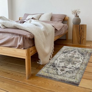 COZONY Runner Rug Vintage Distressed Washable Runner Rug, Non-Slip Stain Resistant Area Rug Traditional Medallion Kitchen Mat Entryway Carpet Rug - 1 of 4