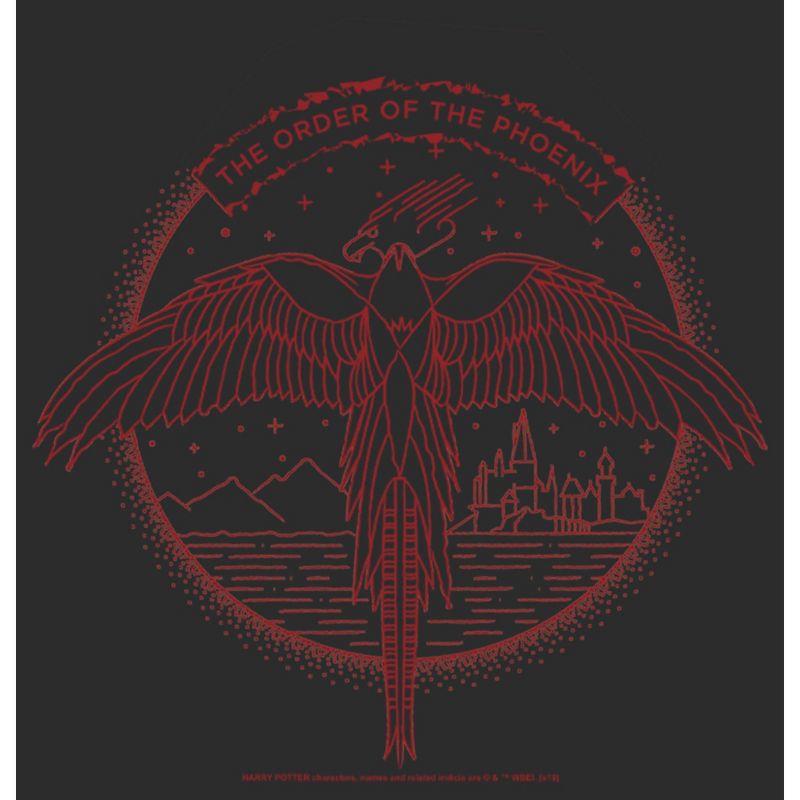 Women's Harry Potter Order of Phoenix Flight T-Shirt, 2 of 5
