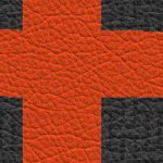 san francisco giants