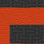 san francisco giants