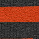 san francisco giants