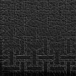 san francisco giants