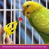 Prevue Pet Products Toy 2 Piece Treat Clips Bird Toy - 2 of 4