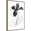 23"x33" Paradise Plants II by Danhui Nai Framed Canvas Wall Art Print Bronze - Amanti Art: Modern Style, Polystyrene Frame, Botanical Theme - 2 of 4