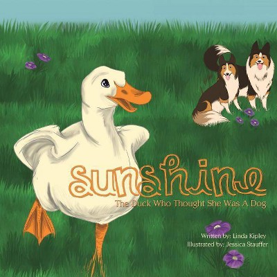 Sunshine - by  Linda Kipley (Paperback)