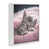 Stupell Industries Soft Kitten Tucked In Framed Giclee Art - 2 of 4