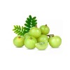 Namhya Amla Powder 100% Natural ( 100g X 2) - for Hair Fall Reduction and Good Skin (Pack of 2) - 4 of 4