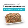 Purina Beneful Prepared Meals Chopped Blends Wet Dog Food - 10oz - 3 of 4