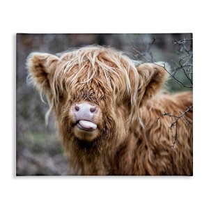 Stupell Industries Baby Cattle Licking Lips, 20" x 16" - 1 of 4