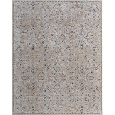 Pasha Transitional Distressed Area Rug