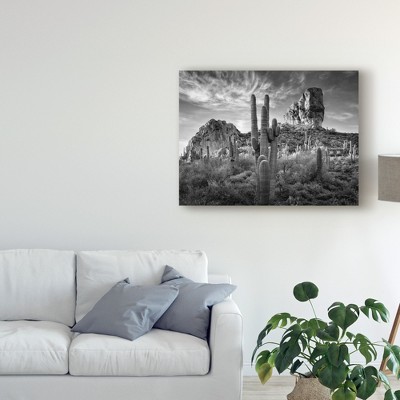 Black and White Desert Landscape Canvas Print, 18x24
