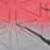 red/black/silver