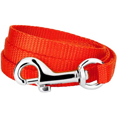 Country Brook Petz - Nylon Dog Leash (3/8 Inch Wide)
