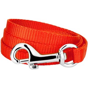 Country Brook Petz - Nylon Dog Leash (3/8 Inch Wide) - 1 of 3