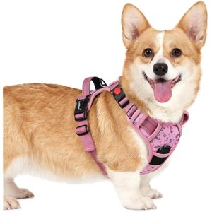 rabbitgoo Dog Harness Small Sized, No Pull Pet Harness with 3 Buckles, , Walking Reflective Pet Vest for Small Dogs, Floral Pink, S - 1 of 1
