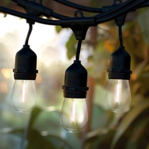 Brightech 15-Bulb LED Ambience Pro Hanging 1W 48ft 2700K S14 Indoor Outdoor Plug-in String Lights Clear Bulb Black Wire - 1 of 4