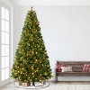 Puleo 9' Pre-Lit Artificial Wyoming Pine Tree with Multi-Function LED Lights - 3 of 4
