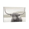 iCanvas Highland Cow Neutral by James Wiens Canvas Print Wall Art - 2 of 3