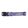 The Worthy Dog Sunburst Dog Collar - image 3 of 3