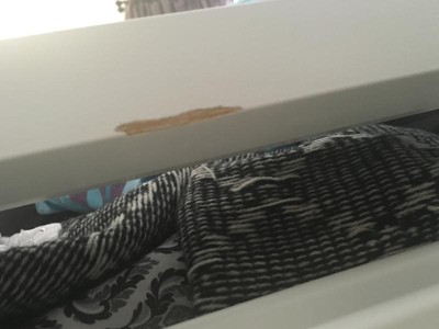 Guest review image 1 of 2, zoom in