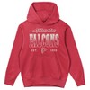 NFL Atlanta Falcons Girls' Washed Fleece Hooded Sweatshirt - 2 of 3