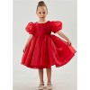 2Bunnies Girls' Organza Puff Sleeve Babydoll Fit & Flare Dress - 4 of 4