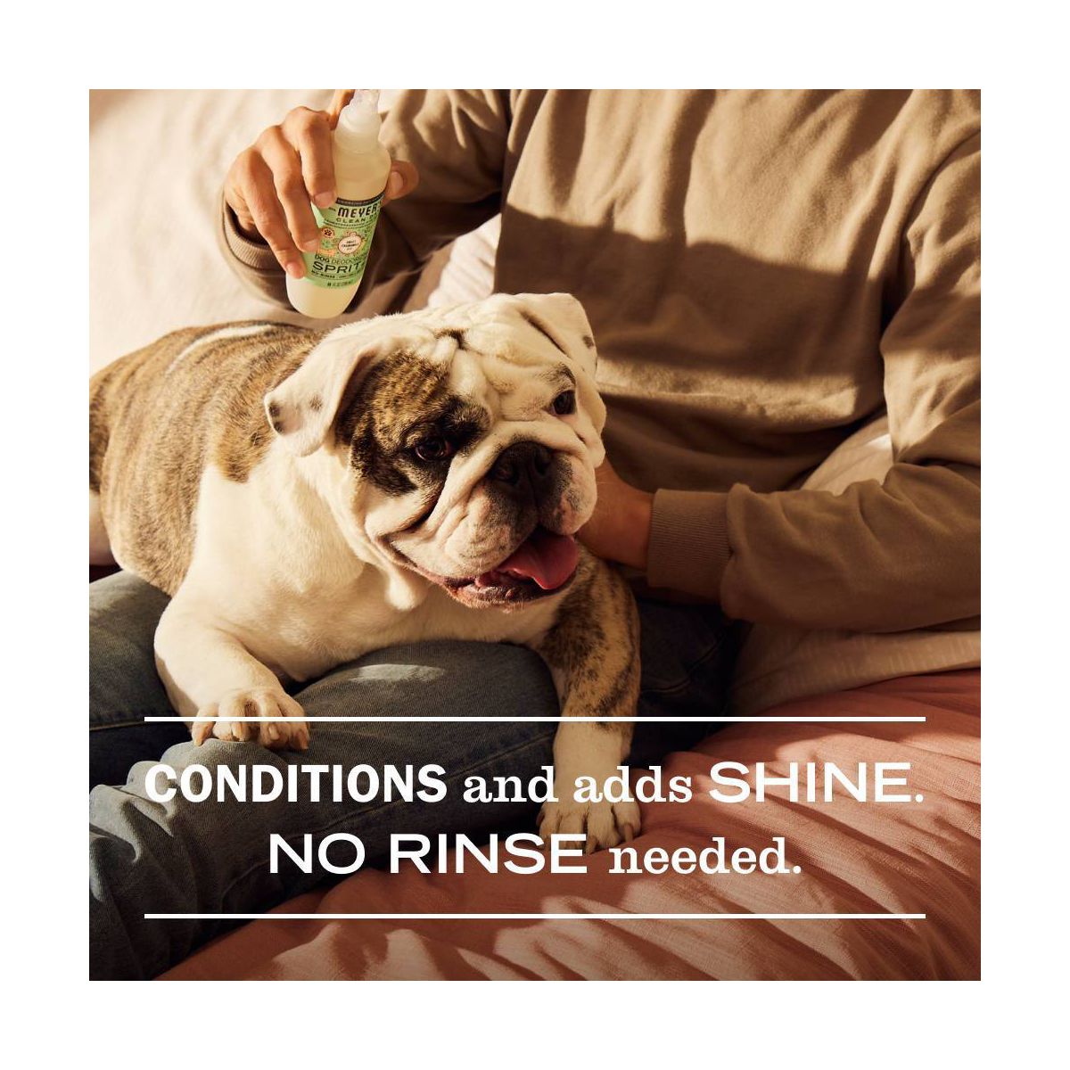 Mrs. Meyer's Clean Day No Rinse Chamomile Scented Dog Shampoo - 8 fl oz - thumbnail 4